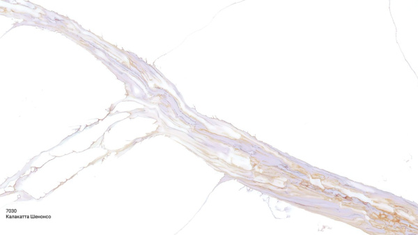 Калакатта Шенонсо 7030