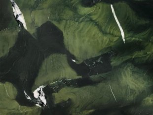 Avokatus / Авокатус (кожа)