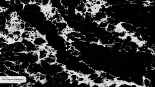 Q921 Черная Арабескато / Arabescato Black