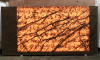 Golden Gate 9965