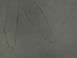 Brazil Grey 20 мм