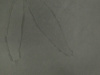 Brazil Grey Плитка