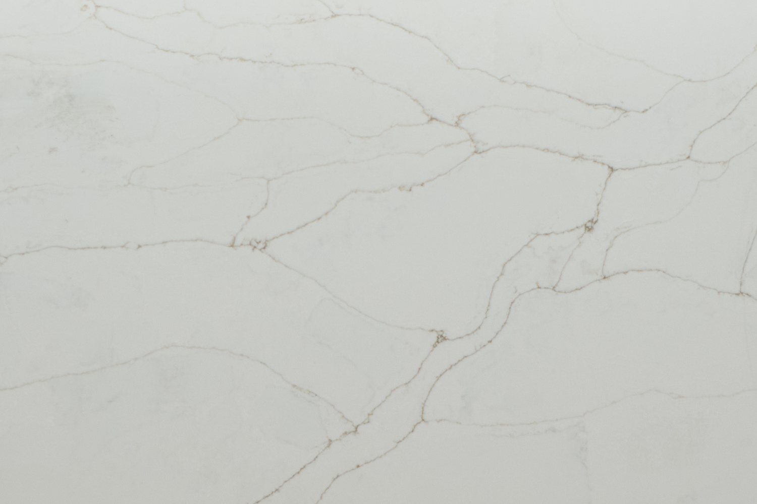 842 Ivory Oxid