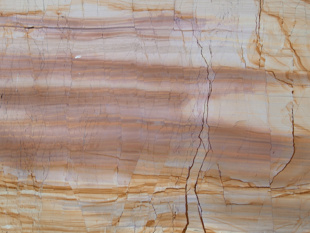 Тик Вуд / Teak Wood
