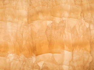 Голден Оникс / Golden Onyx