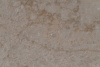 Cygnus Divine 9510