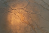 700 Calacatta Translucent
