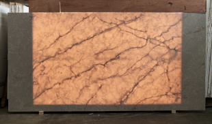 Sevilia 9953