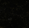 Brown Perlino EQPM 026