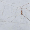 Спайдер Роял / Spider Royal 20 мм