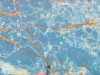 Onice Blue 20 мм
