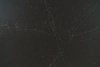 Bellini 7448