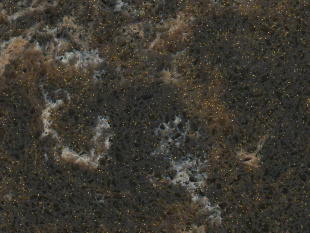Бурбонне 9005