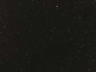 Taurus Black