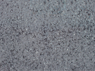 Squalo BQ 8795