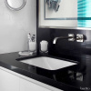 Гала Блэк 5751 / Gala Black 5751