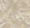 White Ice EQPM 023
